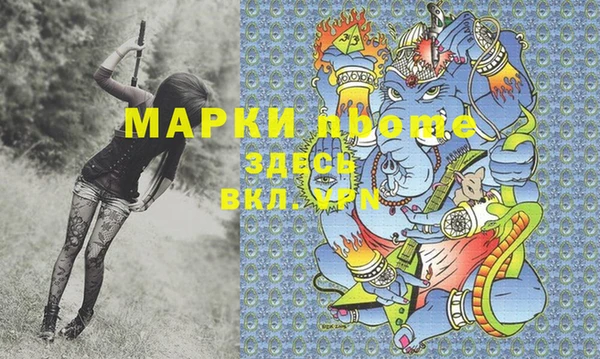 стаф Балахна