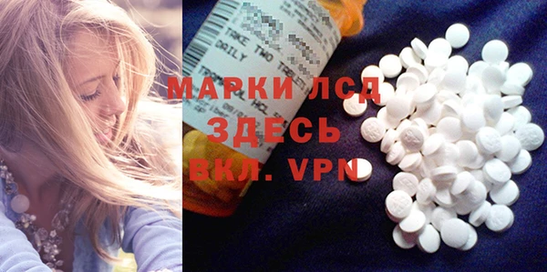 шишки Баксан