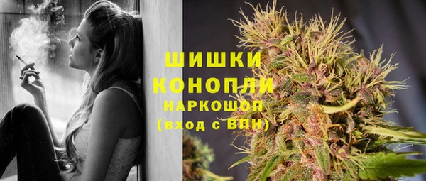 стаф Балахна