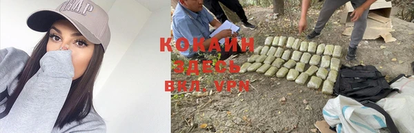 шишки Баксан